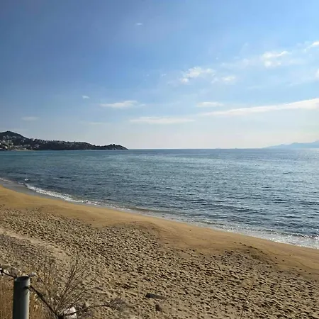 Seaflower PalaiónTsiflíkion